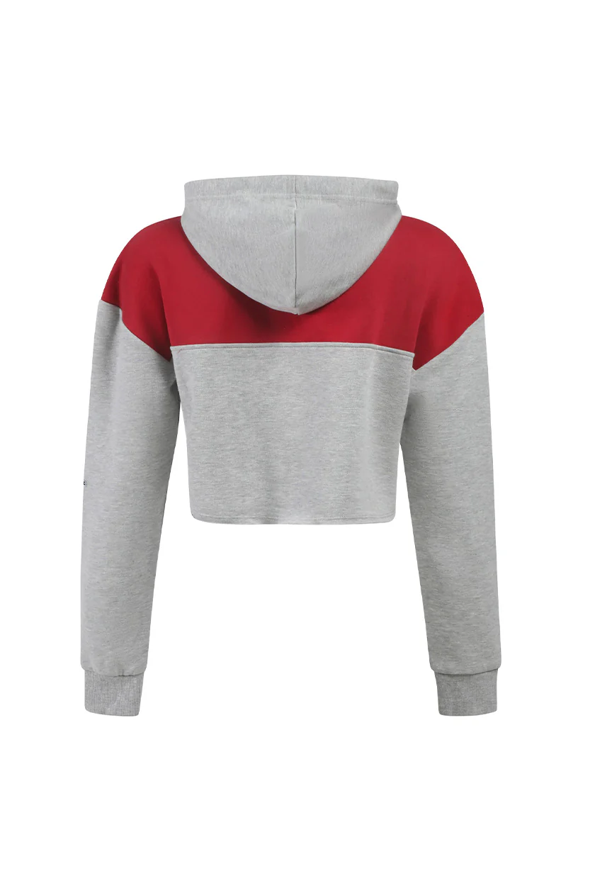 Cornell Color Block Hoodie - Image 2
