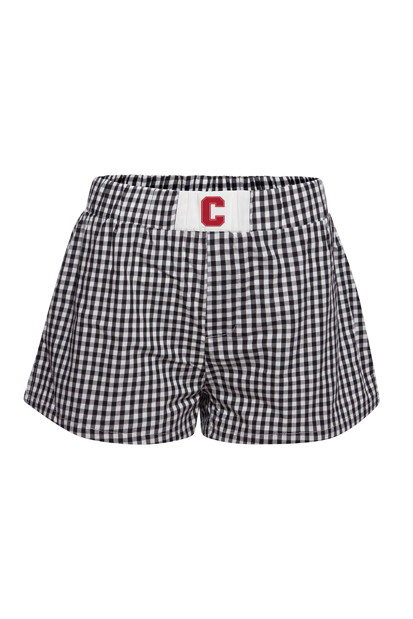 Cornell Gameday Gingham Shorts - Image 3