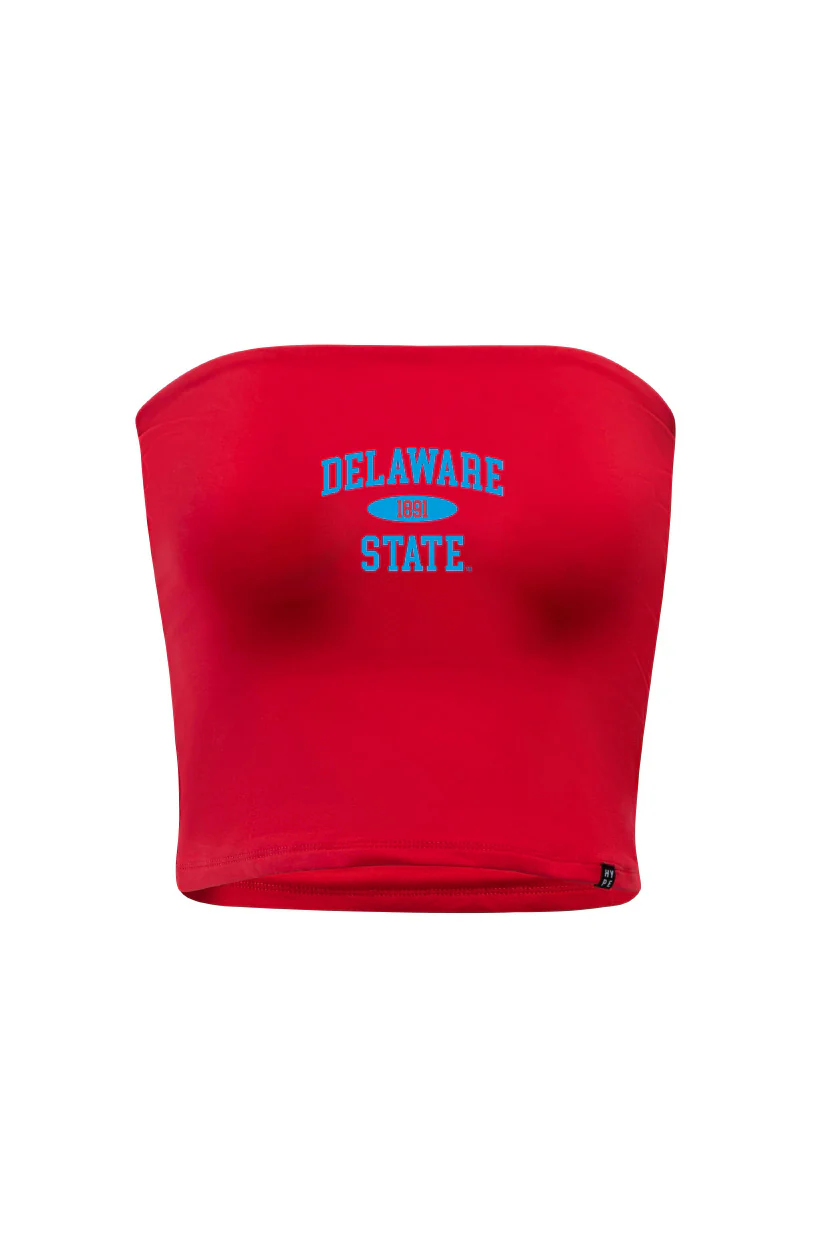 Delaware State Tube Top - Image 7