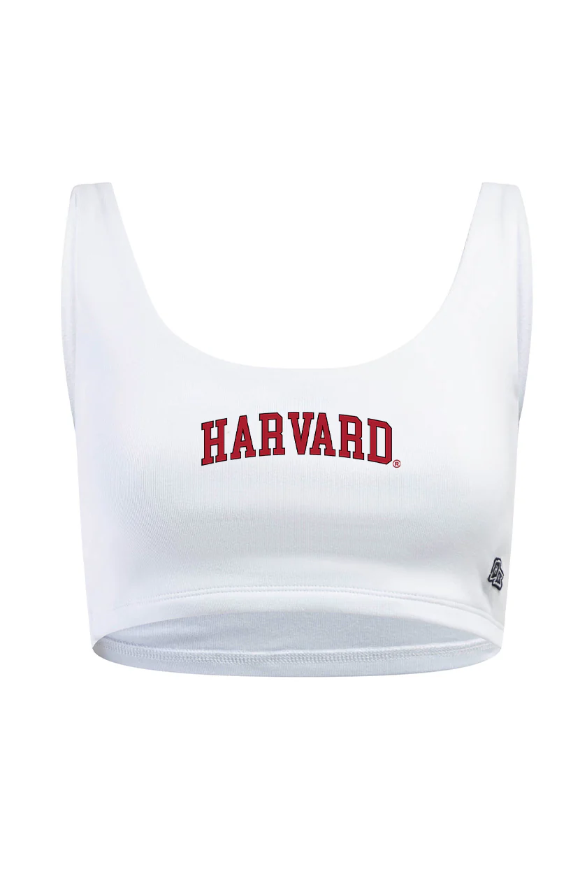 Harvard Scoop Neck Crop Top - Image 5