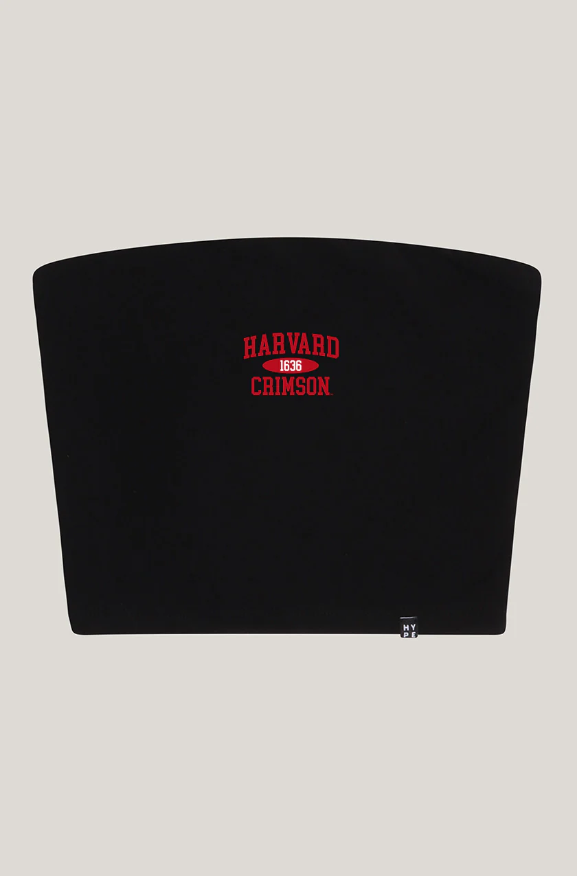 Harvard Tube Top - Image 3