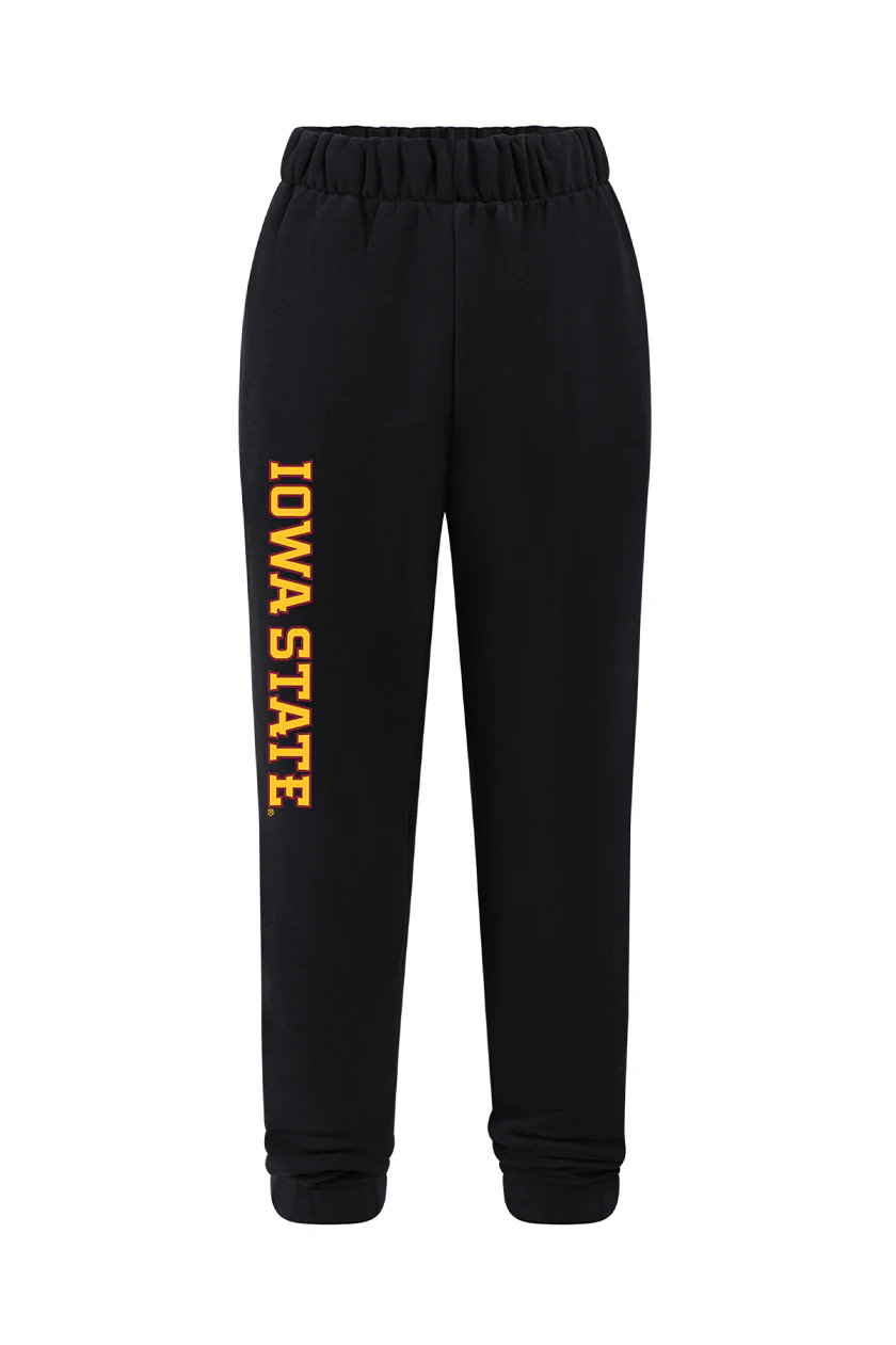 Iowa State Basic Sweats - Image 9