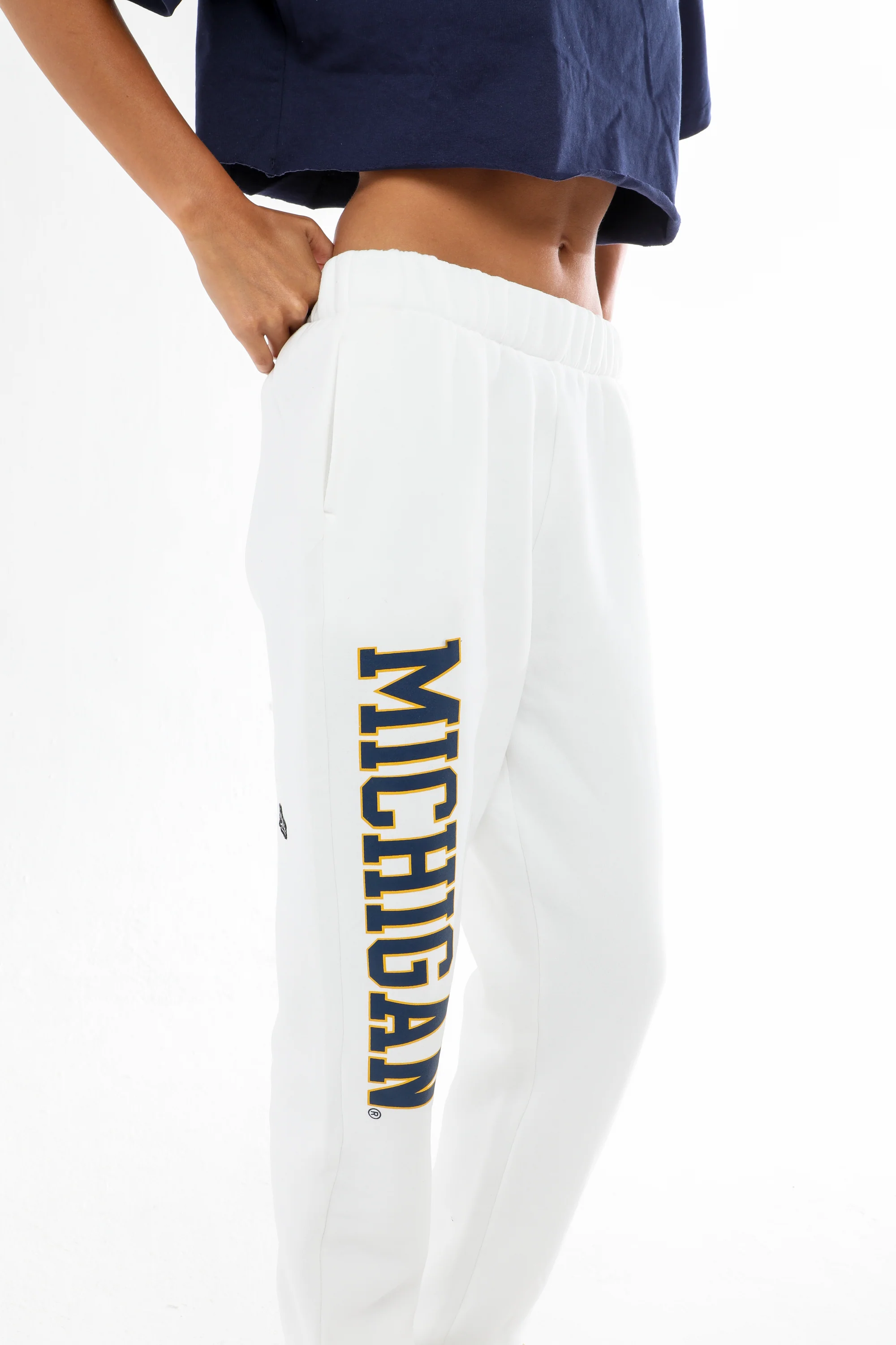 University of Michigan Basic Sweats - Image 6
