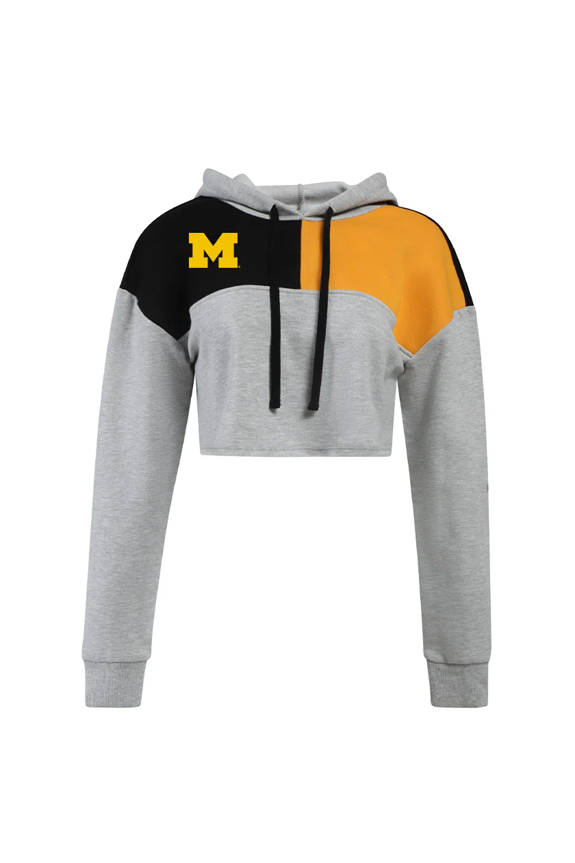 University of Michigan Color Block Hoodie - Image 4