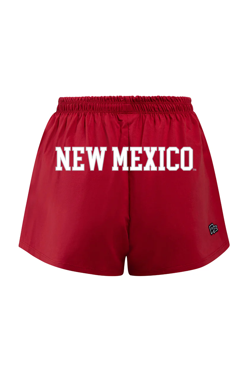 UNM P.E. Shorts - Image 3