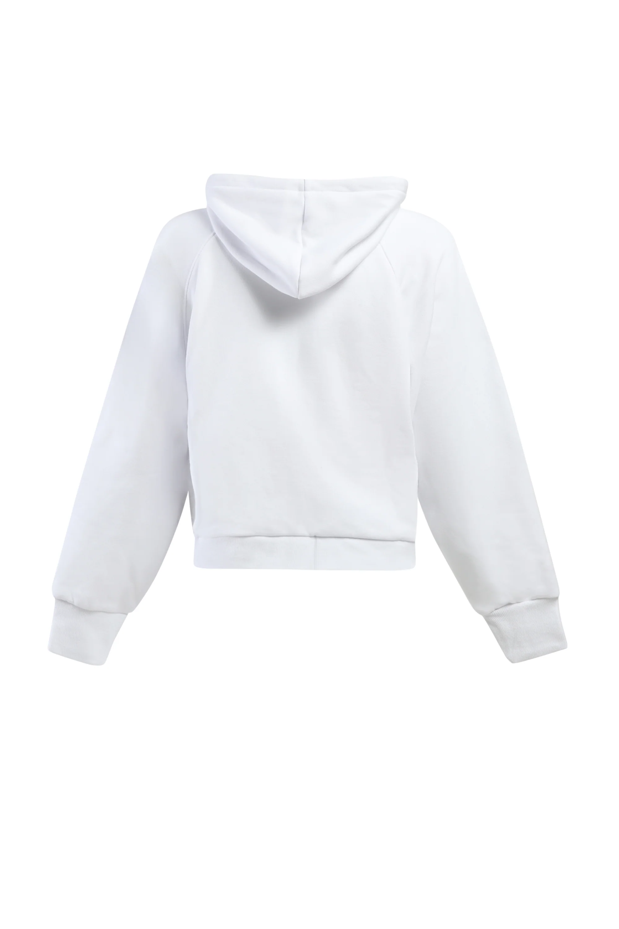 University of Michigan Raglan Zip-Up - Image 4