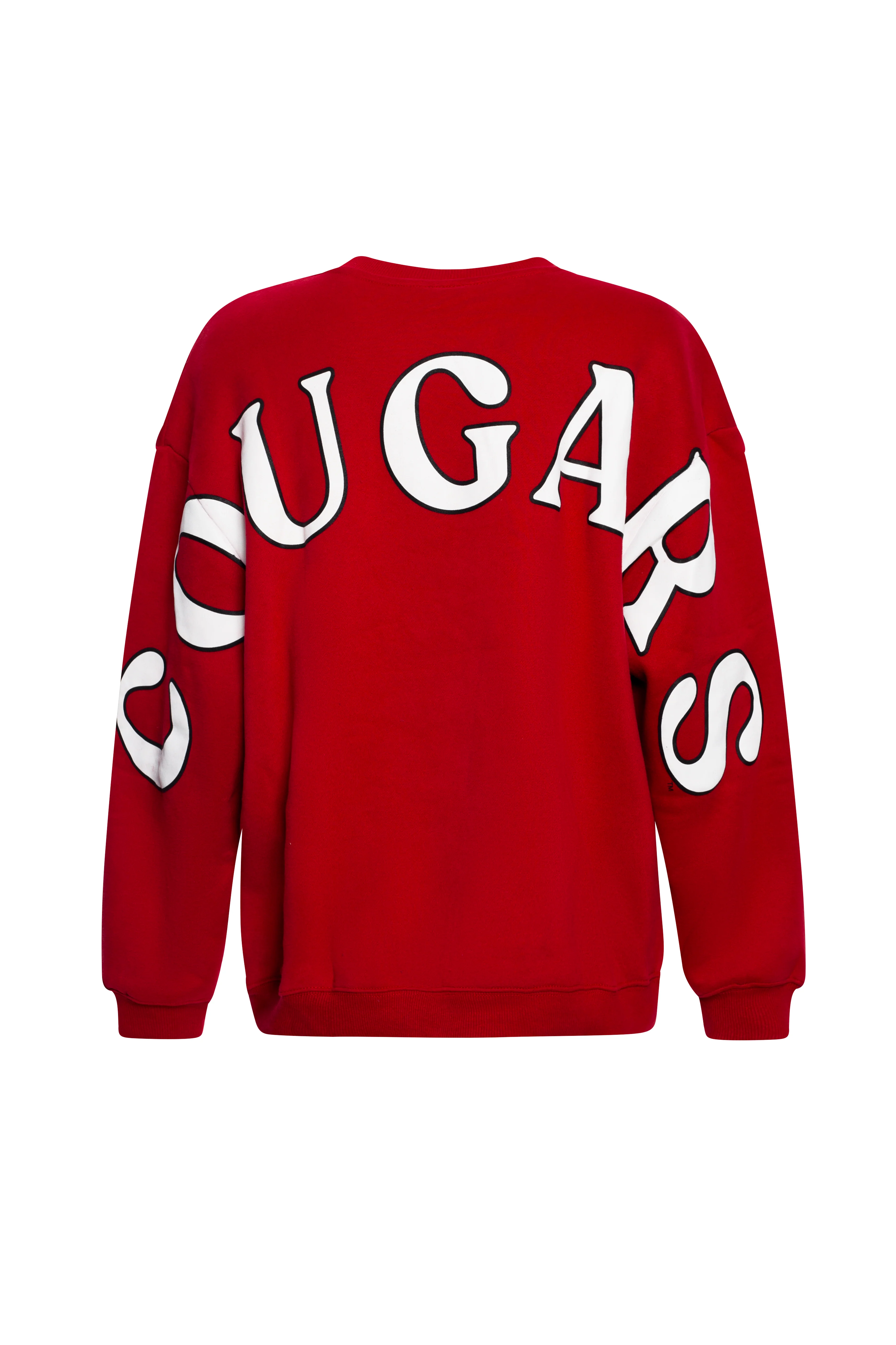 Washington State Oversized Crewneck - Image 5
